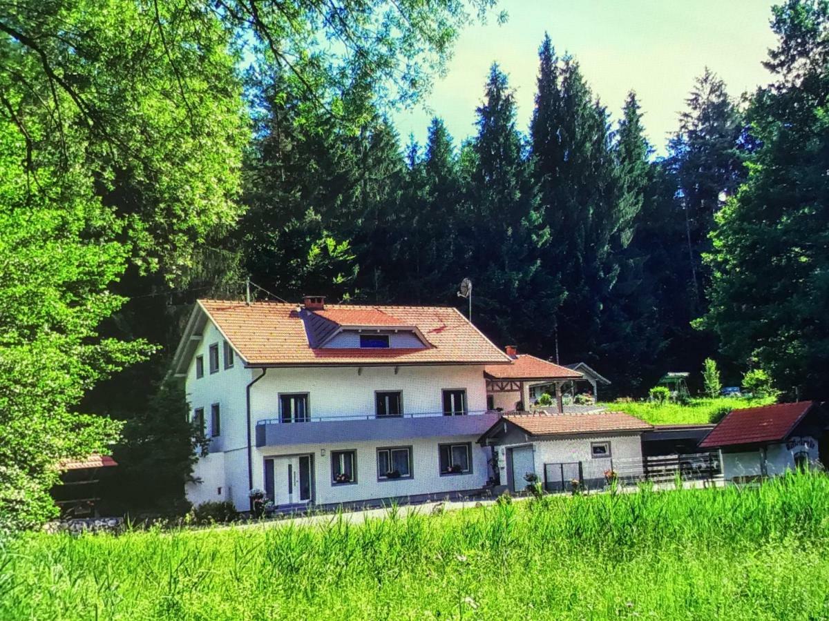Апартаменти Haus Manuela Фельден-ам-Вертерзе Екстер'єр фото